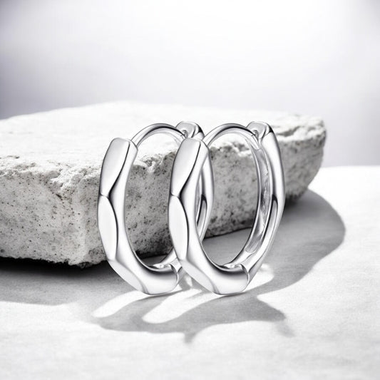 Silver Wave Style Earrings